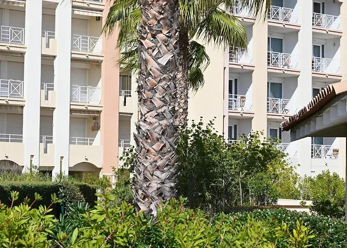 - 100m De La - Parking - Piscine Appartement Fréjus